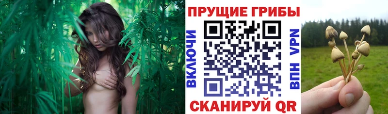 Псилоцибиновые грибы ЛСД  Соликамск 
